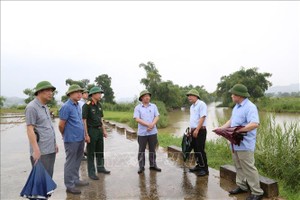 各地民众应对3号台风