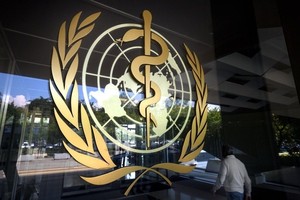 世界卫生组织专家22日就蚊媒传播疾病基孔肯雅热发出警报，提醒各国做好应对准备，避免疫情大规模暴发。（图：互联网）