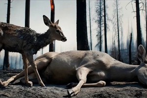 电影《月光下的诅咒》由 AI 与智能手机全程制作。