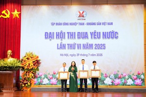 国家副主席武氏映春在大会上向取得突出成就的个人和单位颁发奖状。（图：TKV）
