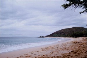 俄罗斯堪察加半岛东海岸今天（7月30日）发生强烈地震后，太平洋海啸预警中心向整个夏威夷州发布海啸警报。（图：互联网）