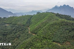 越南即将再获500万美元碳转让资金。