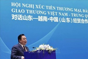 党中央委员、中央政策与战略委员会副主任、越中友好协会主席阮黄英发表讲话。(图：越通社)