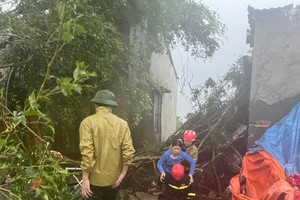 10号台风直接影响越南中部各省 造成巨大损失