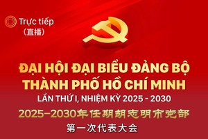 现场直播：2025-2030年任期胡志明市党部第一次代表大会今日开幕