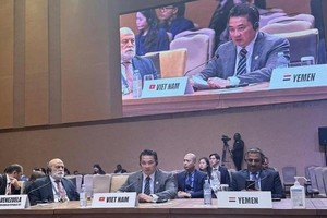 越南外交部国际组织司司长范海英大使在会上发表讲话。（外交部供图）