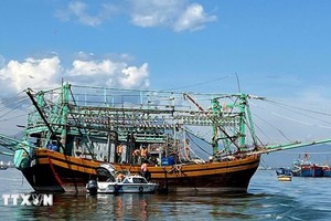 岘港市边防部队检查渔船的证件。（图：越通社）