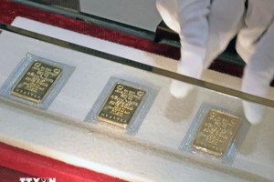 资料图。图自越通社