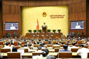 11月12日召开的会议现场。图自越通社