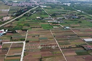 资料图。图自越通社