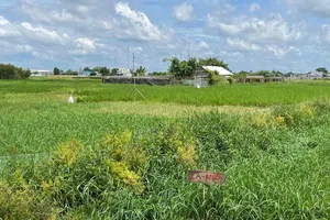 TPHCM: Điều chỉnh giá đất nông nghiệp trước khi trình HĐND xem xét thông qua