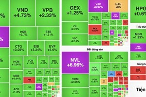  证券交易市场于8月4日，许多股票涨停。