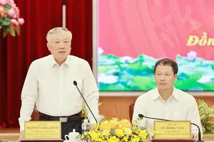 政府常务副总理阮和平在会上发表指导意见。