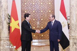 埃及总统迎接越南国家主席梁强。