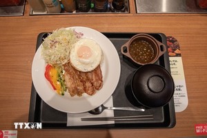 越南风味的猪肉碎米饭。