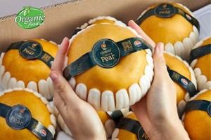 韩国向越南出口高品质梨