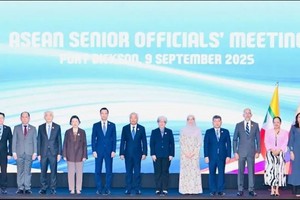 与会代表合影。图自越通社