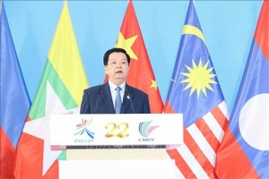 越南政府副总理梅文政发言。