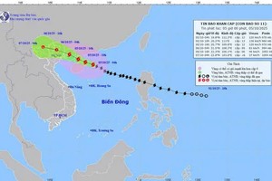 预报11号台风的行驶路径。