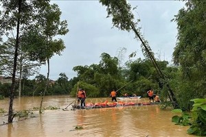 11号台风过后发生强降雨在越南多地造成严重破坏。