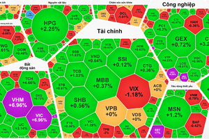 在评级升级消息后 VN-Index指数连续第三个交易日创新高