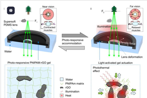 仿生软镜片可像人眼一样自动调焦