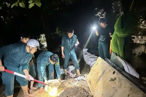 各力量在西贡河沿岸低洼区域加固堤坝。