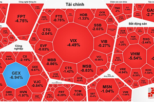 VN-Index指數再跌近19点。