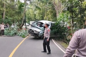 印尼巴厘岛交通事故致中国公民5死8伤。