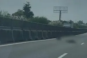 在忠良—美顺高速公路发现男子尸体的现场。