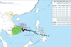 15号台风在登陆前将减弱为热带低气压