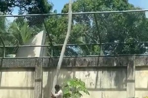 美媒报道视频截图。