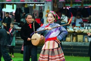 “喜迎2026新年”系列活动在越南各民族文化旅游村精彩呈现