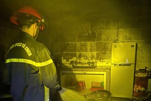 林同省公安消防与救援警察力量及时扑灭火势。