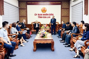 嘉莱省会同美国驻胡志明市总领事馆及天主教救济服务会（CRS）驻越南代表处共同举行仪式。