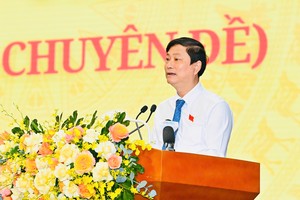 胡志明市人民议会主席武文明在会议上发表讲话。