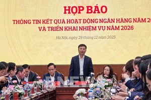 2025年越南信贷增长近18%