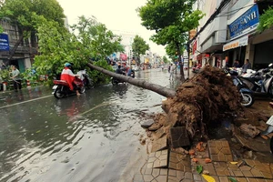 Giông lốc tại Cần Thơ khiến 1 người tử vong