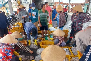 Gỡ khó để thủy sản Việt Nam vươn lên