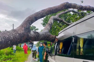 ĐBSCL: Bão Talim gây mưa lớn, dông lốc làm hư hại nhiều nhà dân