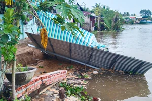 Vĩnh Long: Khẩn trương dời tài sản người dân tại các điểm sạt lở dọc bờ sông Măng