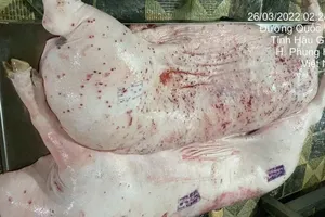 Vụ cửa hàng bị tố "tuồn" thịt bẩn ra thị trường: Đề nghị Hậu Giang phối hợp xác minh hình ảnh