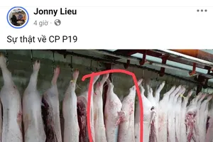 Vụ tố cửa hàng tuồn thịt heo bệnh ra thị trường: Thêm hình ảnh heo có dấu hiệu bất thường