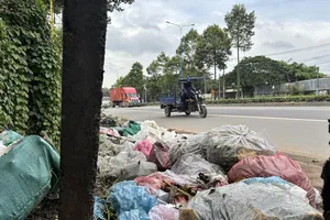 Rác trên đường Mỹ Phước - Tân Vạn