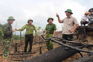 Phó Chủ tịch UBND tỉnh Quảng Nam (bìa phải) đi kiểm tra hiện trường vụ phá rừng phòng hộ