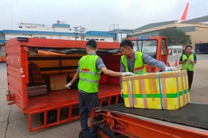 Nhân viên bốc xếp tại sân bay Tân Sơn Nhất. Ảnh minh họa