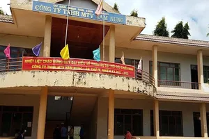 Trụ sở Công ty Nam Nung. Ảnh HỮU LONG