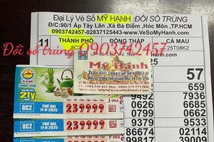 胡志明市一家代理商为7张9999四连号特别奖彩票兑奖。