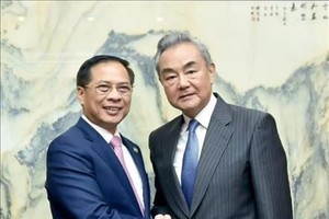 政府副总理兼外交部长裴青山与中国外交部长王毅会谈。