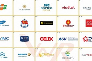 2025年越南投资集团30强榜单出炉。